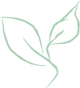 חוות בין השיטים